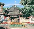 Theme Hotel